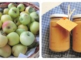 Vellutata di mele speziate con gelato di soia