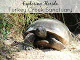 Exploring Florida – Turkey Creek Sanctuary