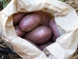 A Kitchen Garden Diary: November 2012 + Mayo-free Potato Salad