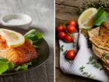 Steelhead Trout vs Salmon: Which do you Prefer