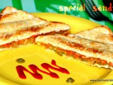 Vegetable sandwich \ special sandwich