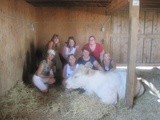 Farm Sanctuary: Helping Americans think about food in a new way