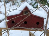 A “Dusting” of Snow… and some soup