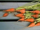Baleful Bounty – Curry Glazed Carrots