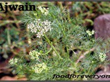 Ajwain(carom seeds)