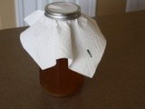 Grow, Brew, and Flavor Kombucha (for almost nothing!)