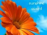 Blogger Inspiration - Sunshine Award times 2