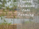 Salt Farming in Northern Thailand