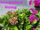Smorgasbord Reblog – a visit to d.g. Kaye and new book excerpt