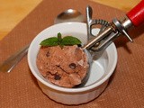 Chocolate mint chocolate chip ice cream
