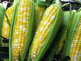 Healthy Eating: It's not Corny to Eat Corn
