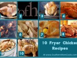 10 Fryer Chicken recipes