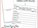 Georgia State Fact File Worksheets