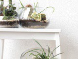 How To Decorate With Plants