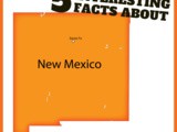 Interesting Facts about New Mexico