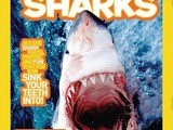 National Geographic Kids Everything Sharks $10.41
