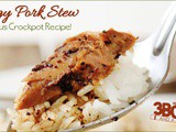Tangy Crockpot Pork Stew Recipe