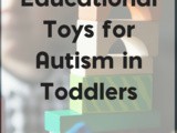 The Best Educational Toys for Autism in Toddlers