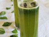Mint Juice / Sherbet