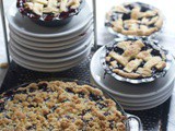 World’s Best Blueberry Crumb Pie Recipe