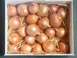 Shallots ~ i have no idea what 30.8% of the population are up to