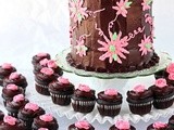 Dark Chocolate Cake and Cupcakes