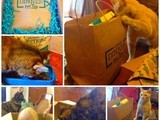 Our cats love Nutrish by Rachael Ray #Sponsored #NutrishforCats #mc
