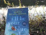 I’ll Be Your Blue Sky by Marisa De Los Santos Book Review