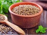 6 Amazing Coriander Seeds Benefits you might not be aware of