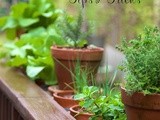 Fabulous Fresh Herbs; Tips & Tricks