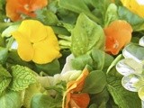 Fresh Herb Salad w/ Avocado-Basil Vinaigrette