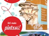 Mushroom Growing Kit: Oyster Mushroom Pintxos & Fungi Inspired Design For Your Kitchen