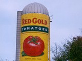 Visiting Tomato Country.....Part ii