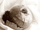 A Brooding Onion