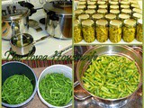 From the Garden...Home Canned Green Beans
