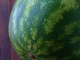 The Watermelon In My Side View