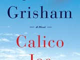 Book review:  calico joe by john grisham
