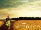 Book review:  the choice by robert whitlow