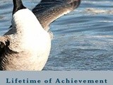 Book spotlight:  lifetime of achievement:  7 Goal Setting Strategies That Work by Jordan Maylea Ramirez