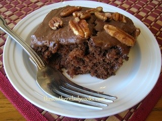 Southern coca cola cake