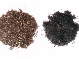 Chia Seeds vs Sabja Seeds: How They Differ
