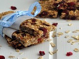 Low-fat Granola Bars with Bananas, Cranberries, and Pecans