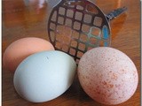 Silky Yogurt Egg Salad