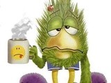 Subdue Sickness with a Soupçon of Soup