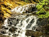 Monsoon Experience In Wayanad, Kerala