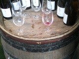 Dégustation de vins de Bourgogne aux caves Augé