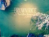 Brown Rice Cafe @ 5-1-17 Jingumae, Shibuya-ku