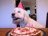A Puppy Treat – Birthday Cake