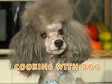 Cooking with Dog – It’s not what you think