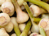 Springtime treat – Green garlic